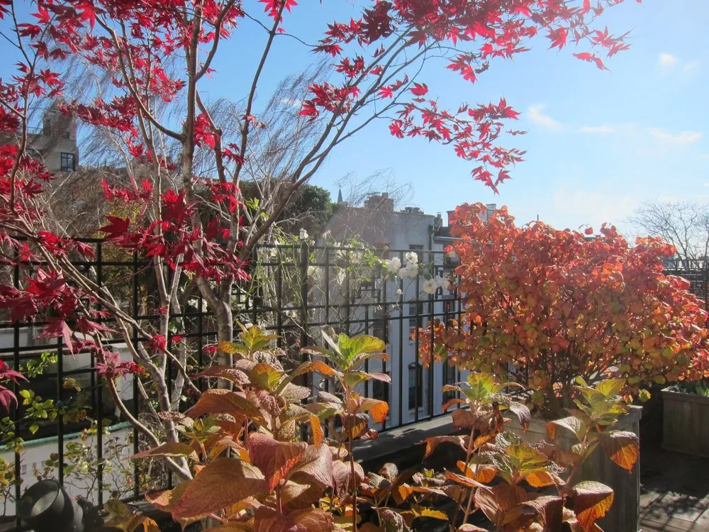 Reliable landscape installation in Brooklyn, NY - Flo's Gardens