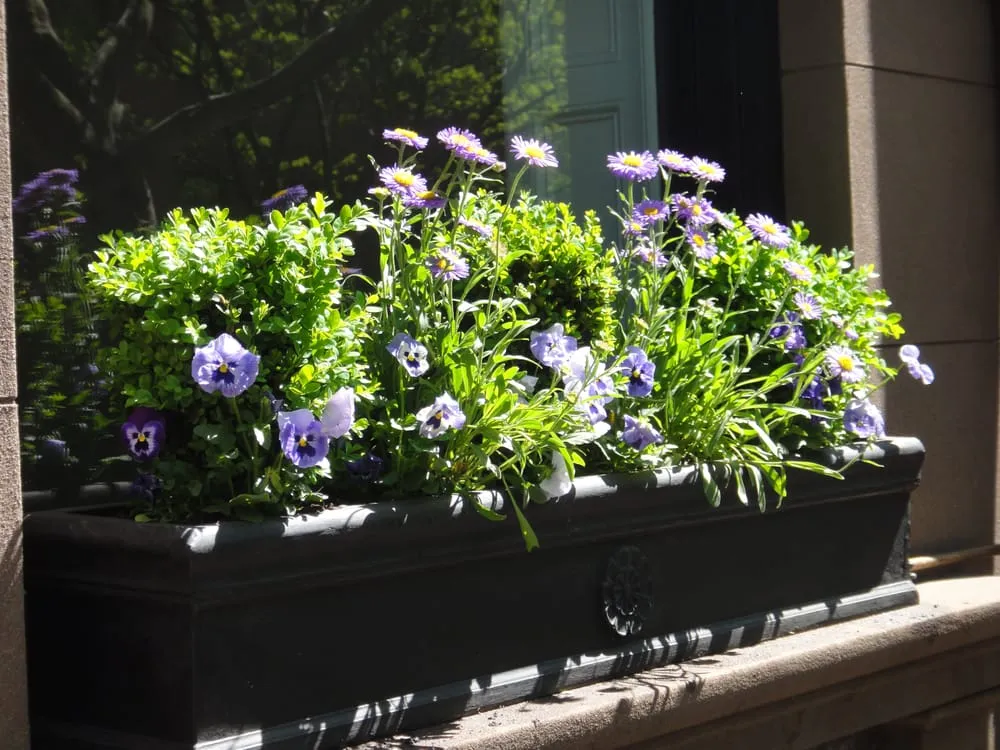 Custom yard cleanup service for outdoor upgrades in Brooklyn, NY by Flo's Gardens