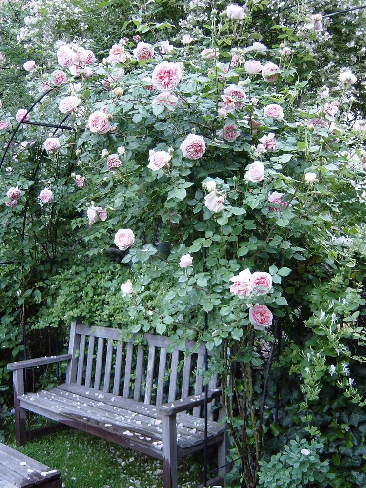 Reliable landscape installation in Brooklyn, NY - Flo's Gardens