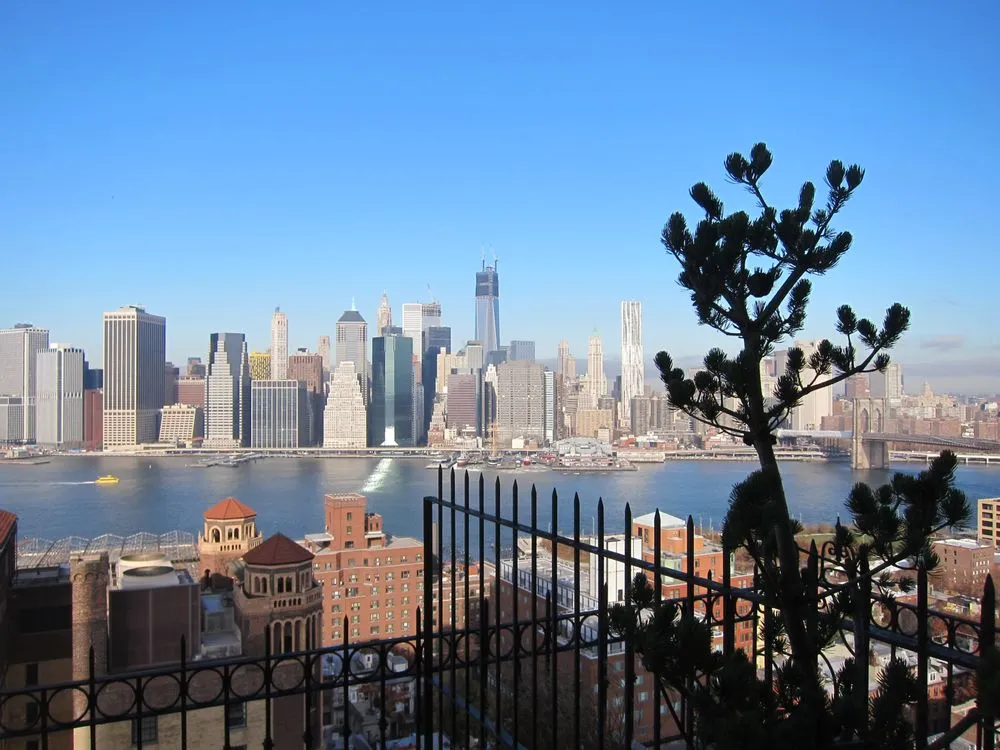 Expert landscape installation for beautiful yards across Brooklyn, NY - Flo's Gardens