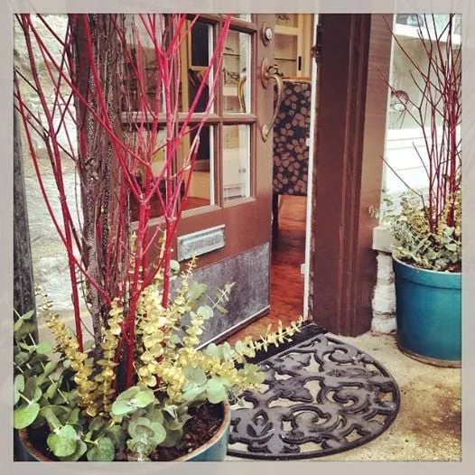 Top-rated lawn care service in Cincinnati, OH by Flourish Design