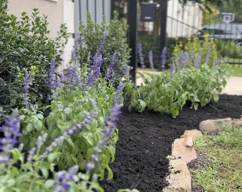 Trusted landscape design in Houston, TX by Flourish Garden Solutions