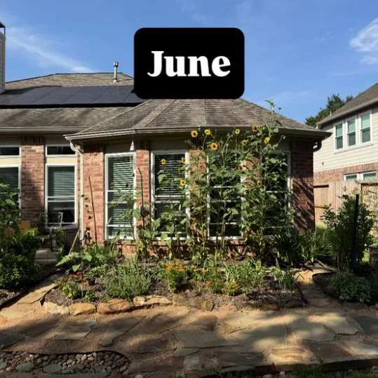 Custom landscaping services for residential properties in Houston, TX by Flourish Garden Solutions