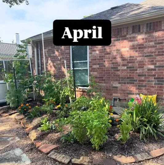 Custom landscaping services in Houston, TX - Flourish Garden Solutions