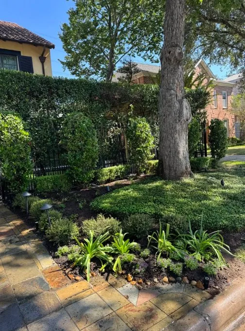 Reliable landscape installation in Houston, TX by Flourish Garden Solutions
