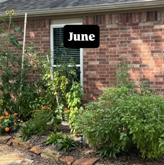 Professional landscape design in Houston, TX by Flourish Garden Solutions