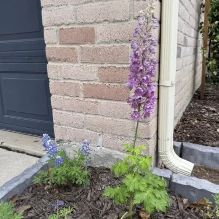 Custom landscaping services for outdoor upgrades across Houston, TX - Flourish Garden Solutions