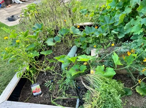 Professional yard maintenance for outdoor upgrades in Houston, TX by Flourish Garden Solutions