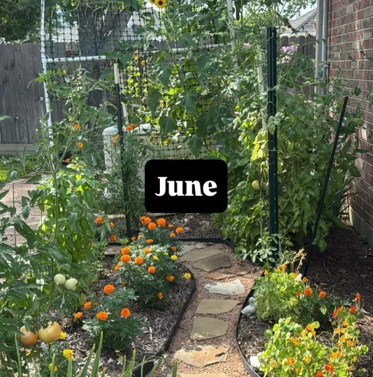 Expert garden landscaping in Houston, TX - Flourish Garden Solutions