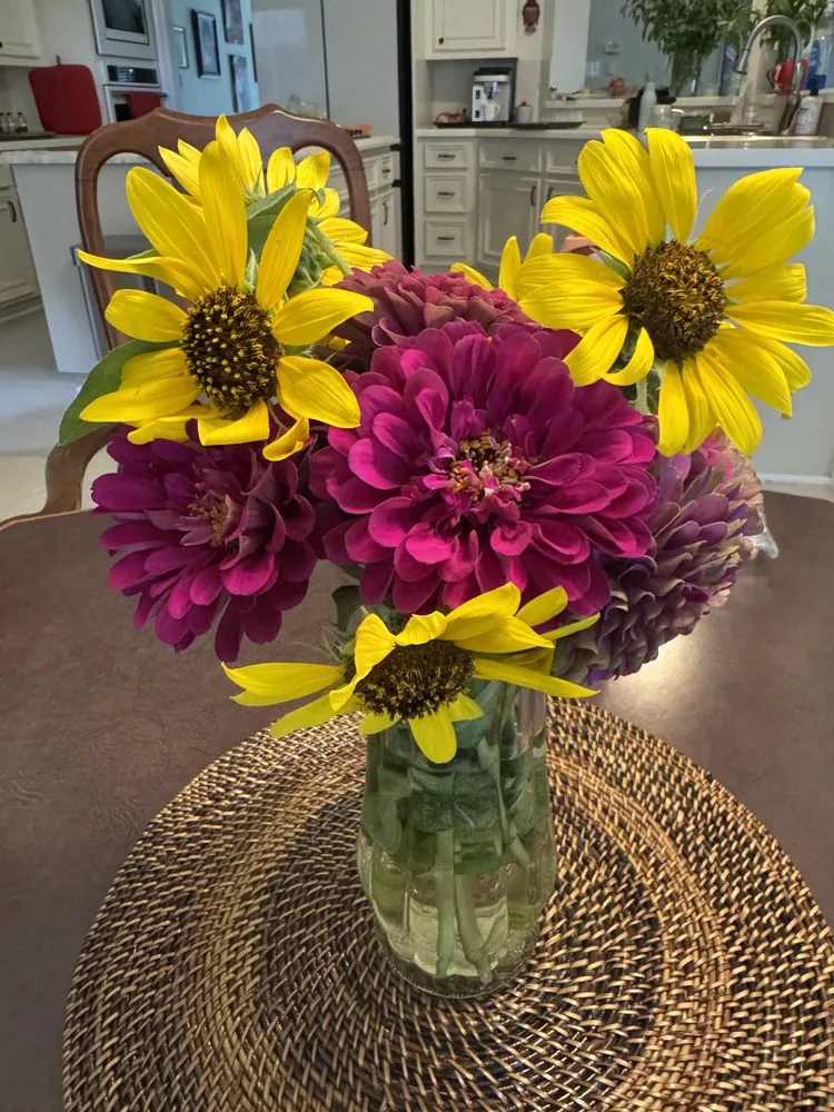 Affordable landscape installation experts serving Houston, TX - Flourish Garden Solutions