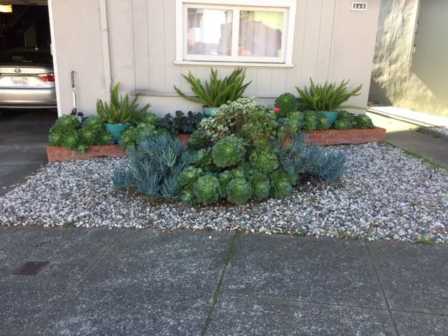 Reliable outdoor landscaping for homes across San Francisco, CA - Flourish Gardening