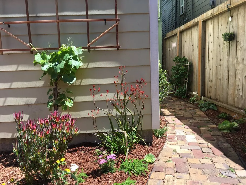 Top-rated garden landscaping in San Francisco, CA by Flourish Gardening