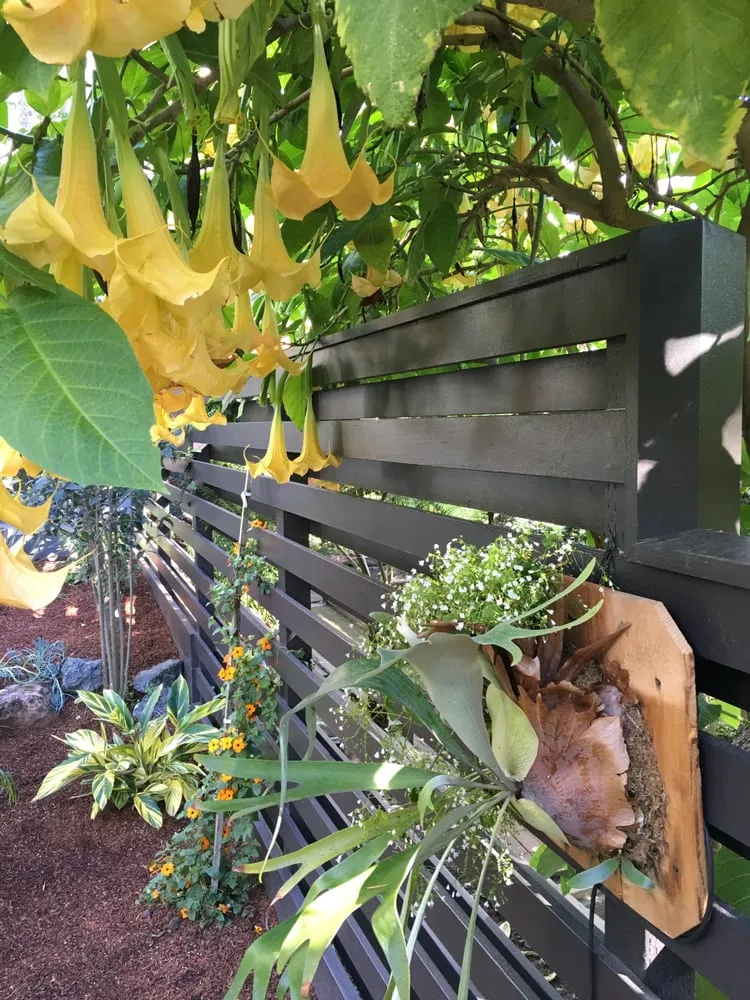 Local landscape design in San Francisco, CA by Flourish Gardening