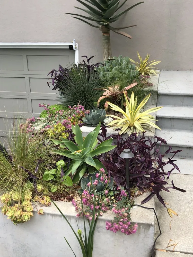 Professional lawn mowing service experts serving San Francisco, CA - Flourish Gardening