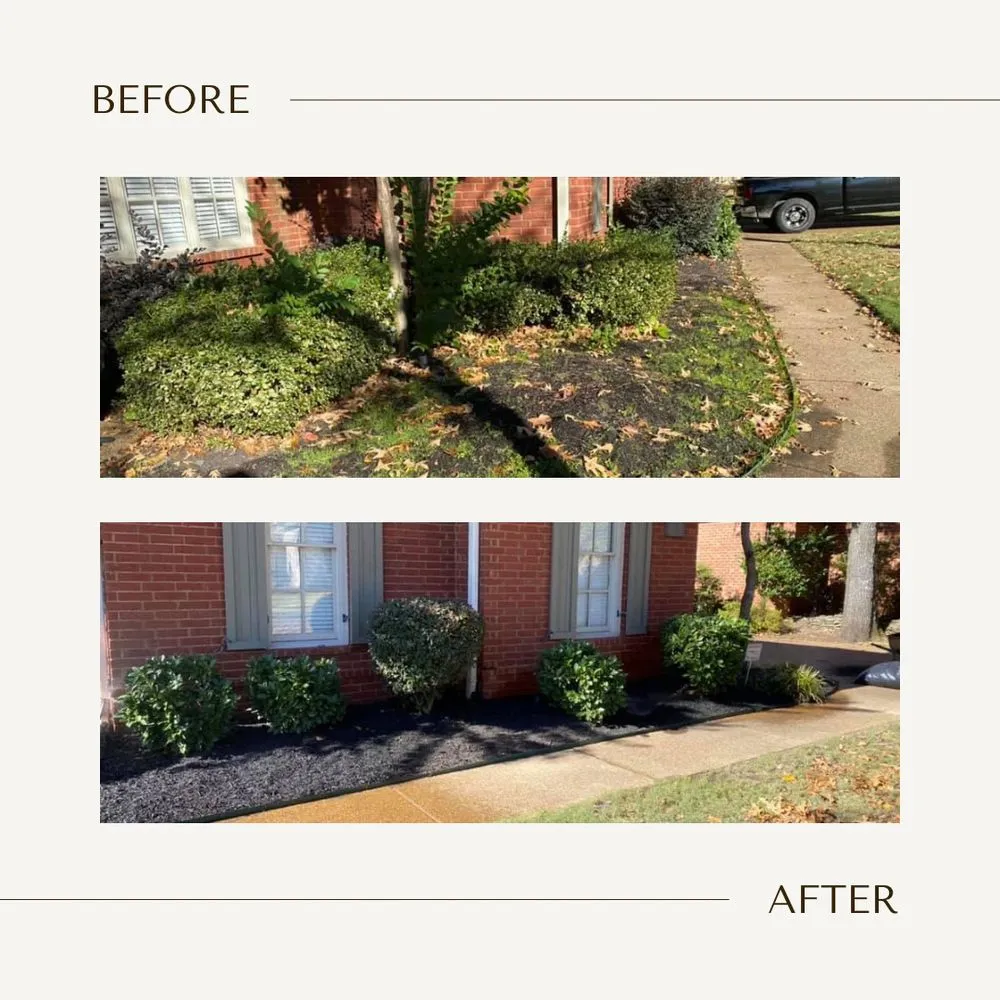 Expert lawn care service with custom design in Collierville, TN by Flourish Home Services