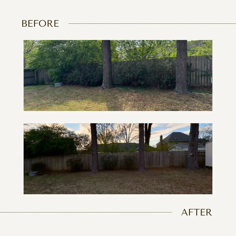 Trusted residential landscaping in Collierville, TN by Flourish Home Services