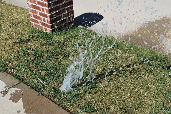 Top-rated landscape installation for homes in San Marcos, TX by Flourish Irrigation