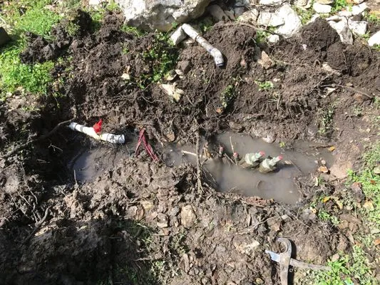 Flourish Irrigation Logo