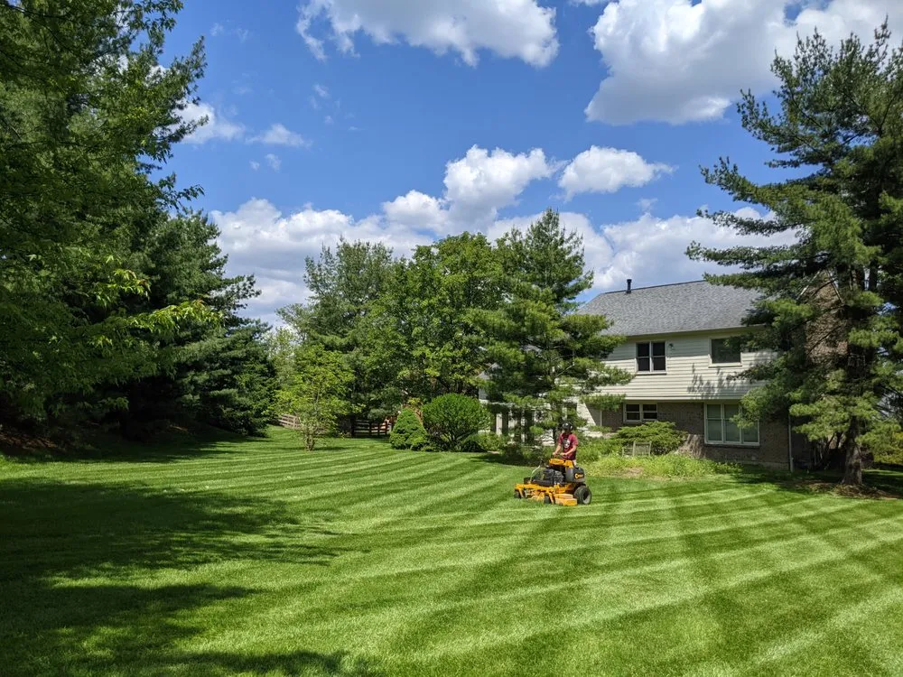Top-rated yard cleanup service in Cincinnati, OH by Flourish Lawn & Landscape