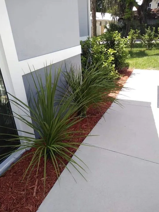Professional landscape design in Edgewater, FL - Flourish Like Grass
