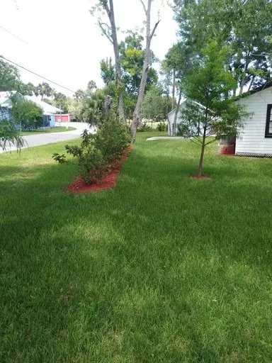 Reliable yard maintenance in Edgewater, FL by Flourish Like Grass