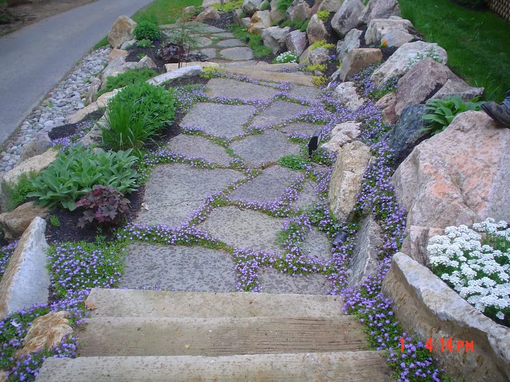 Professional landscape design in Phoenixville, PA by Flourishing Landscapes
