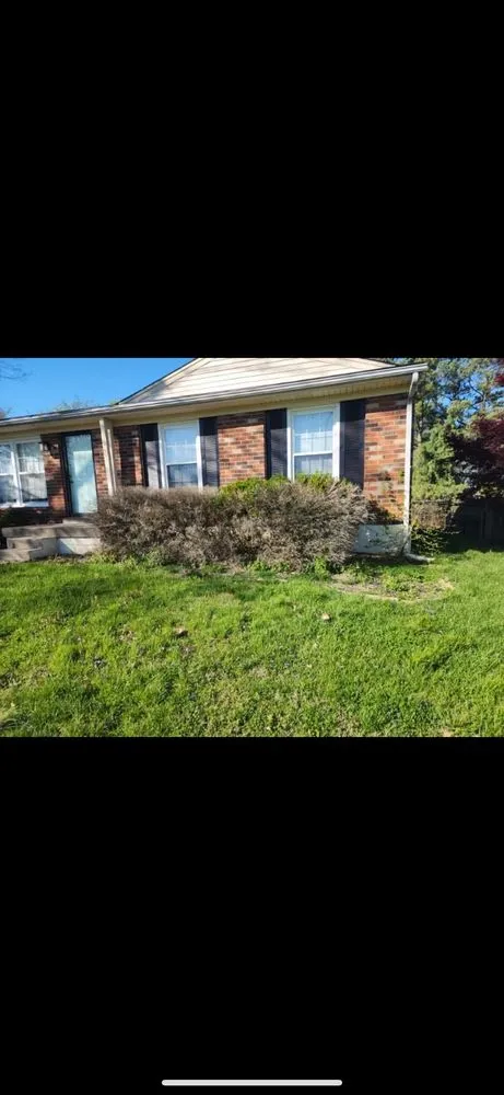 Local yard cleanup service experts serving Pewee Valley, KY - Flournoy Lawn And Landscaping