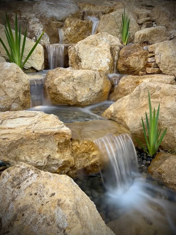 Expert yard cleanup service in Corona, CA by Flow Aquascapes