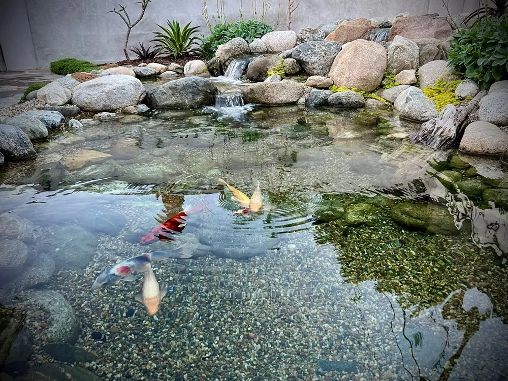 Professional landscape installation with custom design in Corona, CA by Flow Aquascapes