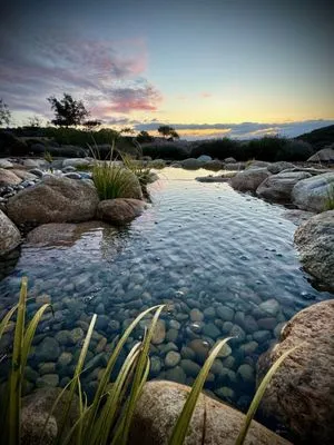 Flow Aquascapes Logo