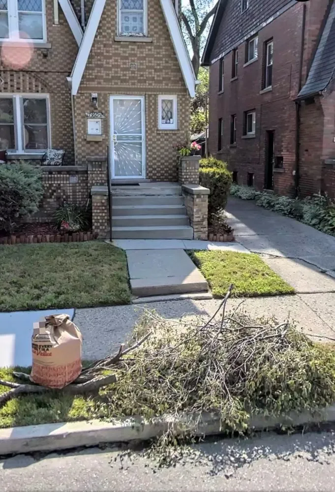 Professional landscape design for year-round maintenance in detroit, MI by Flow Pro Solutions