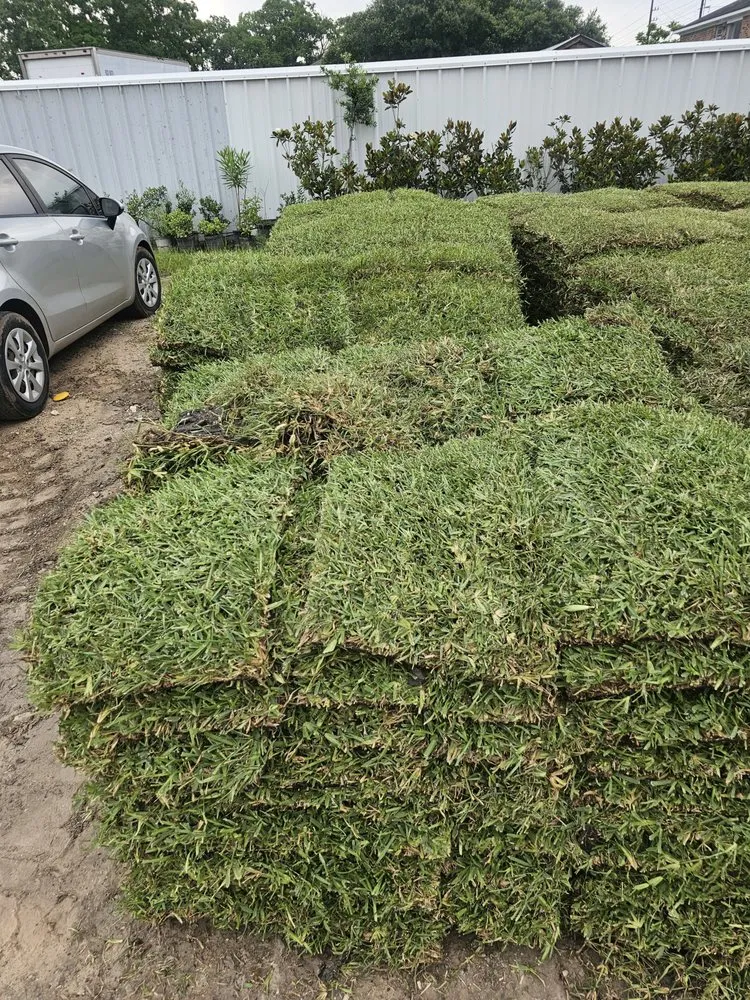 Local outdoor landscaping in Tomball, TX by Flow Right Irrigation and Drainage