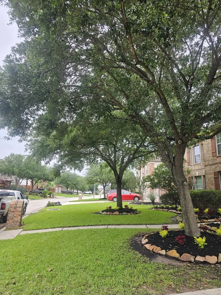 Expert landscaping services for year-round maintenance across Tomball, TX - Flow Right Irrigation and Drainage