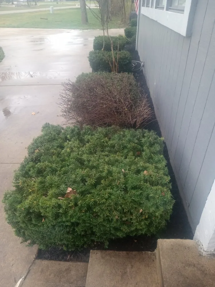 Reliable yard maintenance in Belton, MO by Flower Bed Guys