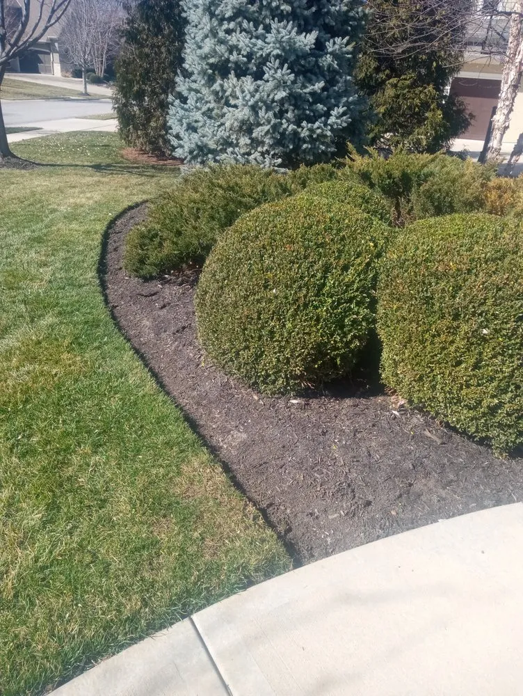 Affordable yard maintenance in Belton, MO by Flower Bed Guys