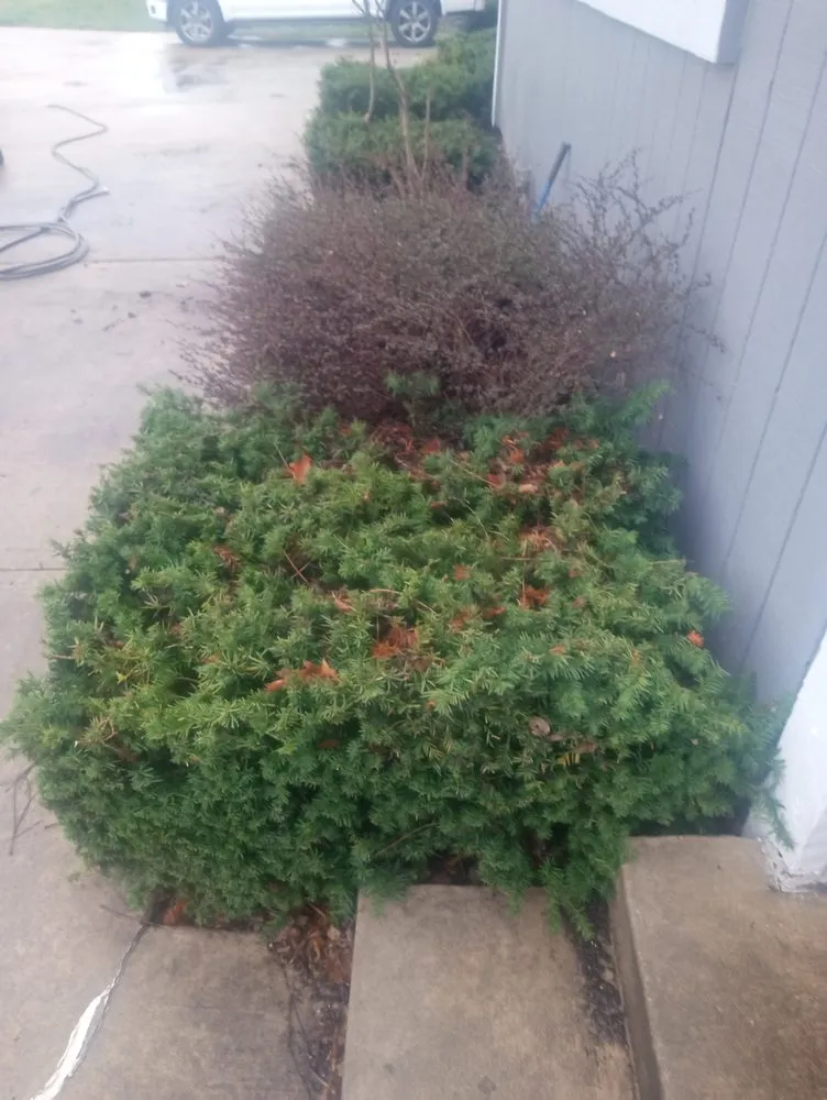 Trusted landscape installation for homes in Belton, MO by Flower Bed Guys