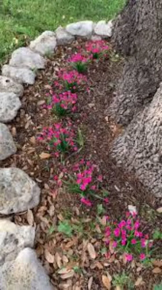 Professional lawn mowing service in Detroit, MI - Flower Beds By Design