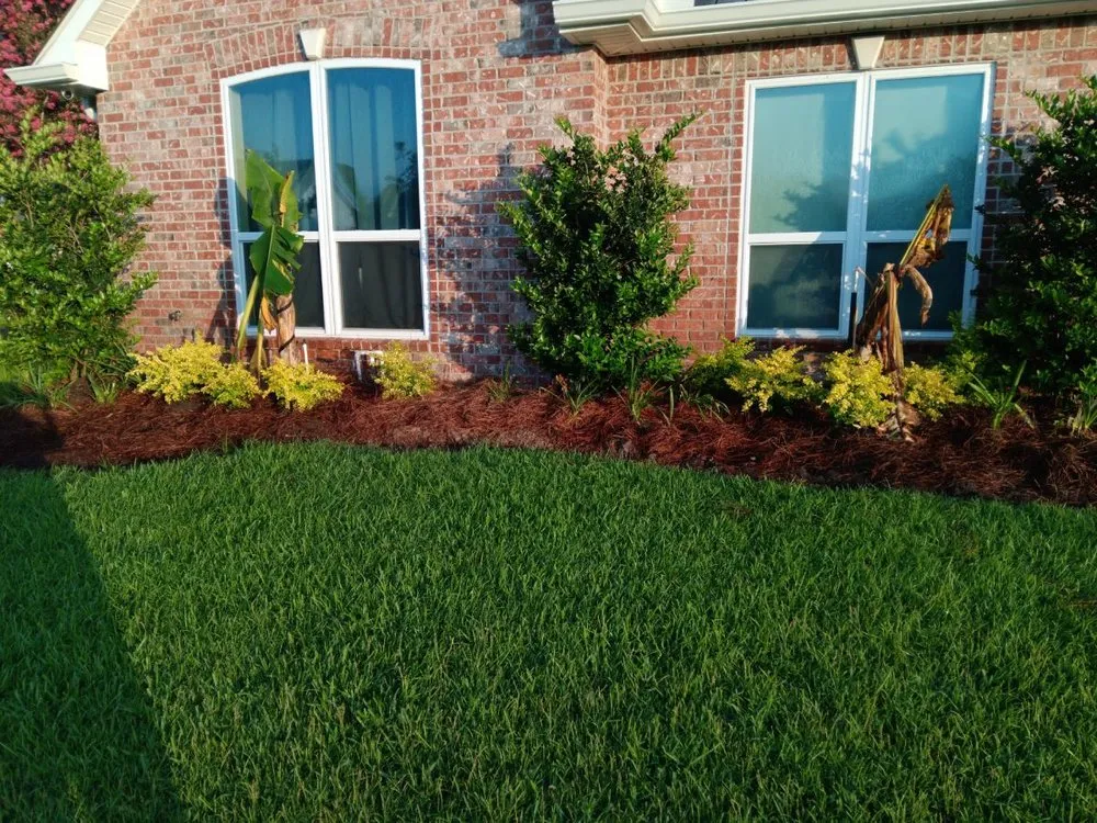 Top-rated yard maintenance experts serving Westwego, LA - Flower Beds R Us