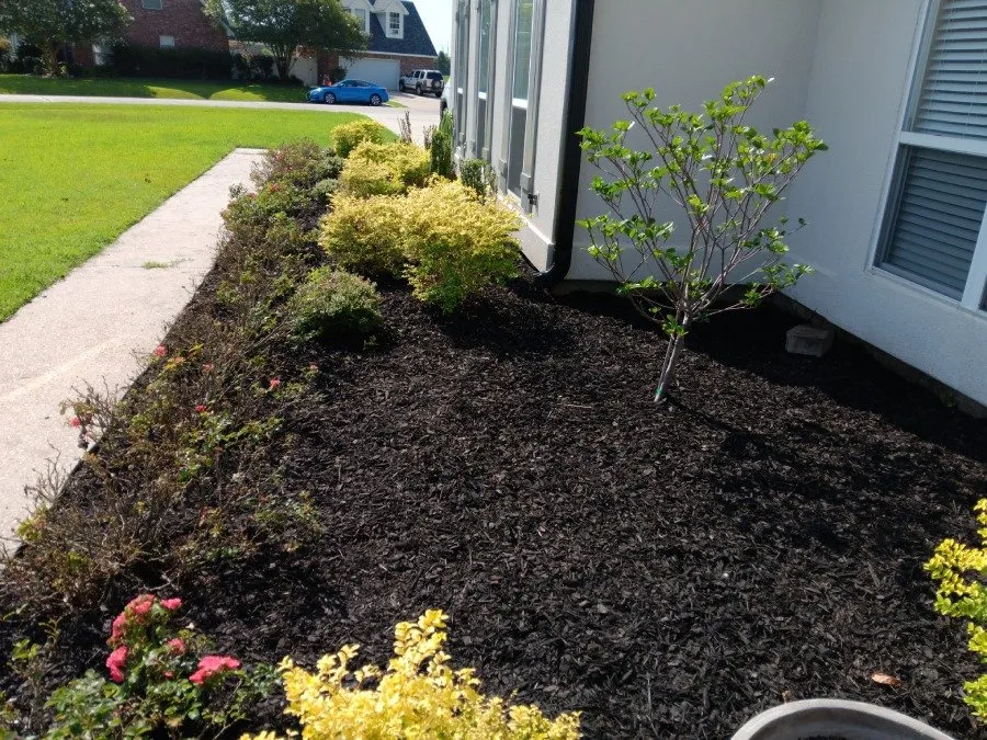 Trusted yard maintenance in Westwego, LA - Flower Beds R Us