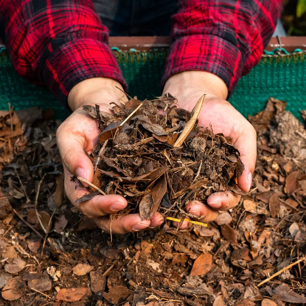 Trusted yard maintenance experts serving Rochester, NY - Flower City Mulch
