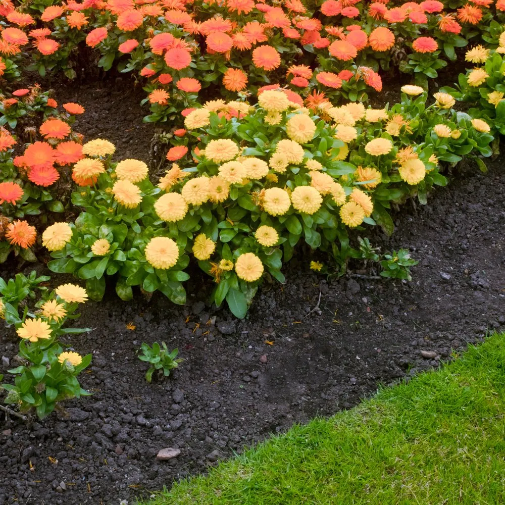 Professional landscape installation for homes in Rochester, NY by Flower City Mulch