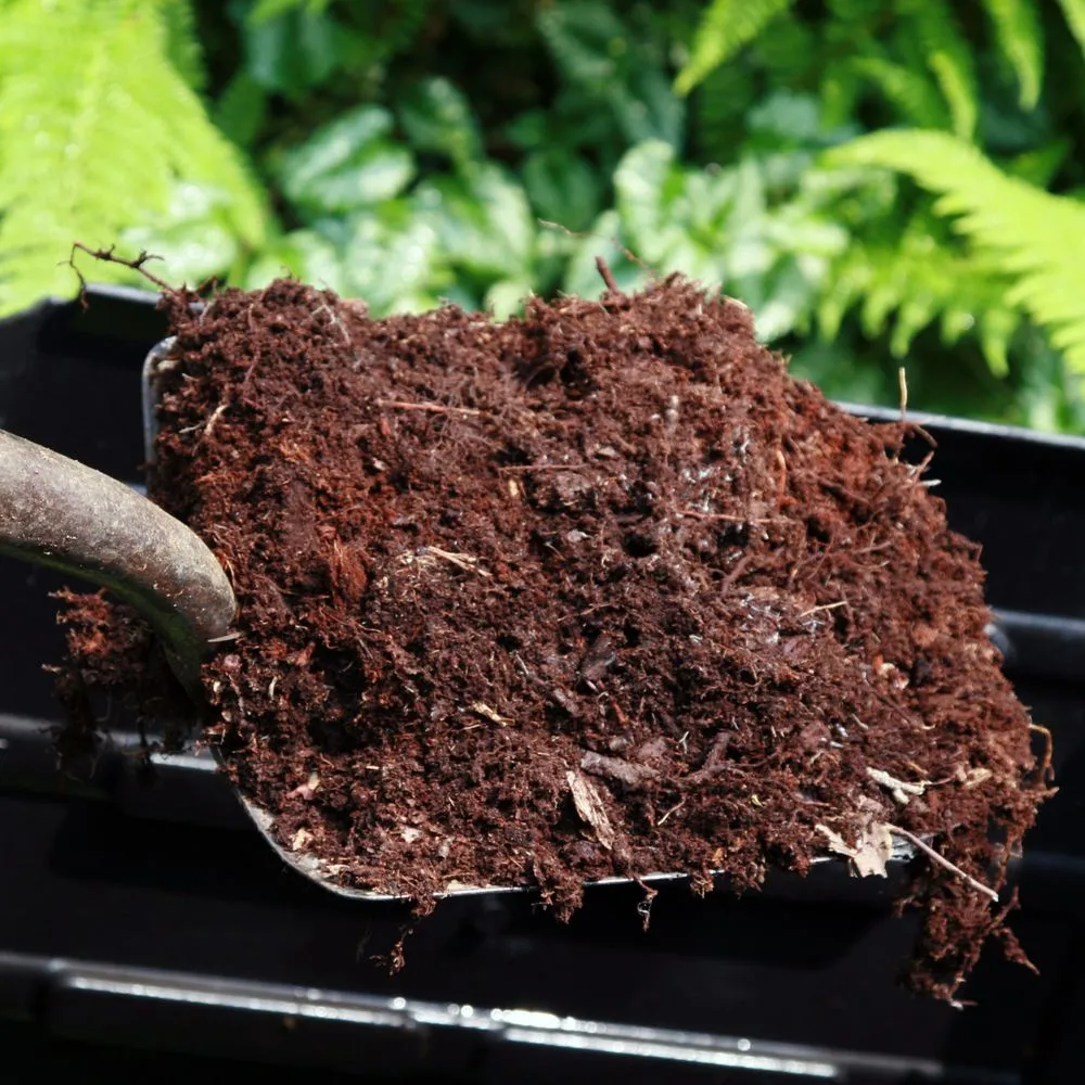 Custom landscape design for year-round maintenance across Rochester, NY - Flower City Mulch