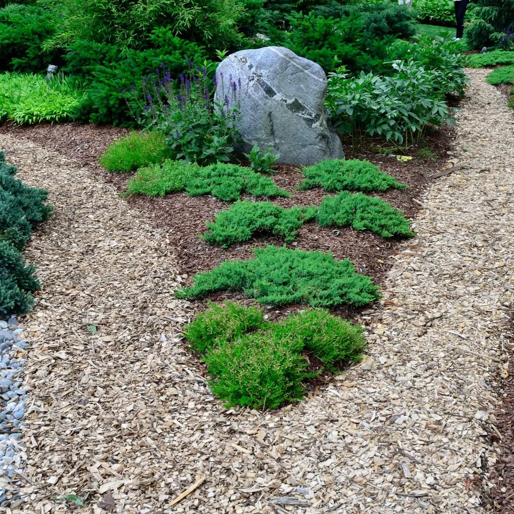 Professional yard maintenance in Rochester, NY by Flower City Mulch