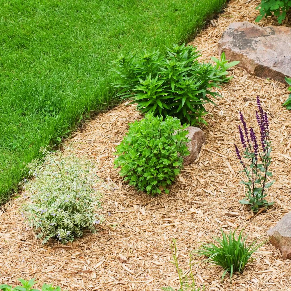 Expert yard maintenance for homes in Rochester, NY by Flower City Mulch