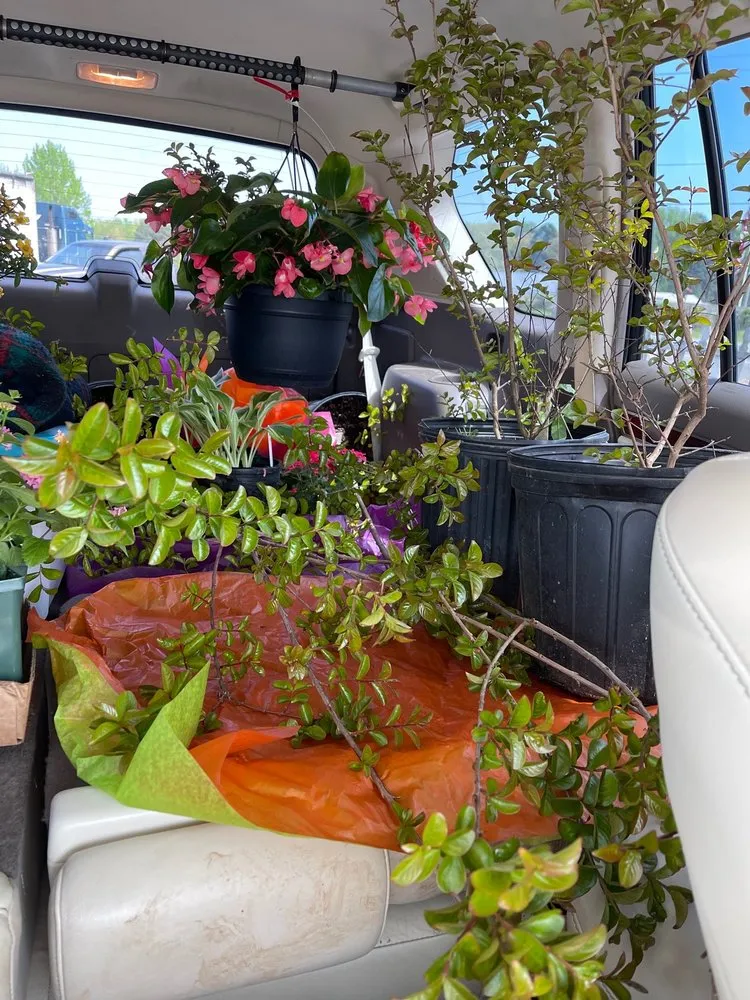 Custom landscape installation for homes in Mayflower, AR by Flower Depot