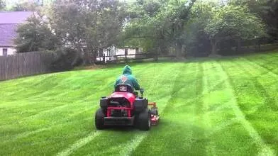 Trusted landscape design in Dundee, MI - Flower landscaping