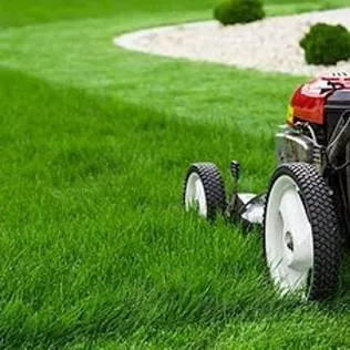 Expert lawn mowing service experts serving Dundee, MI - Flower landscaping