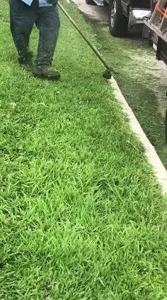 Expert lawn care service for outdoor upgrades across Dundee, MI - Flower landscaping