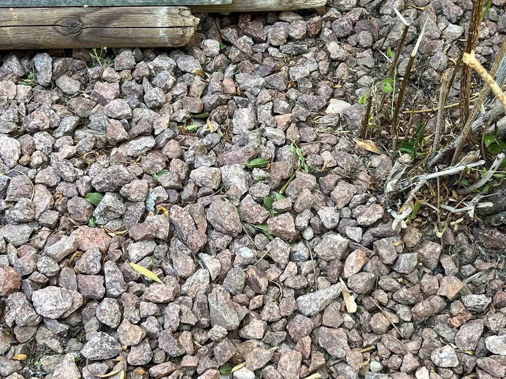 Top-rated yard cleanup service experts serving Las Vegas, NV - Flower Landscaping