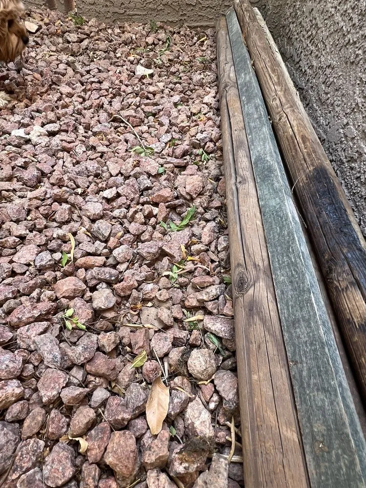 Professional lawn care service for homes across Las Vegas, NV - Flower Landscaping